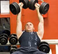 Strength Training Principles and Guidelines (Cont.