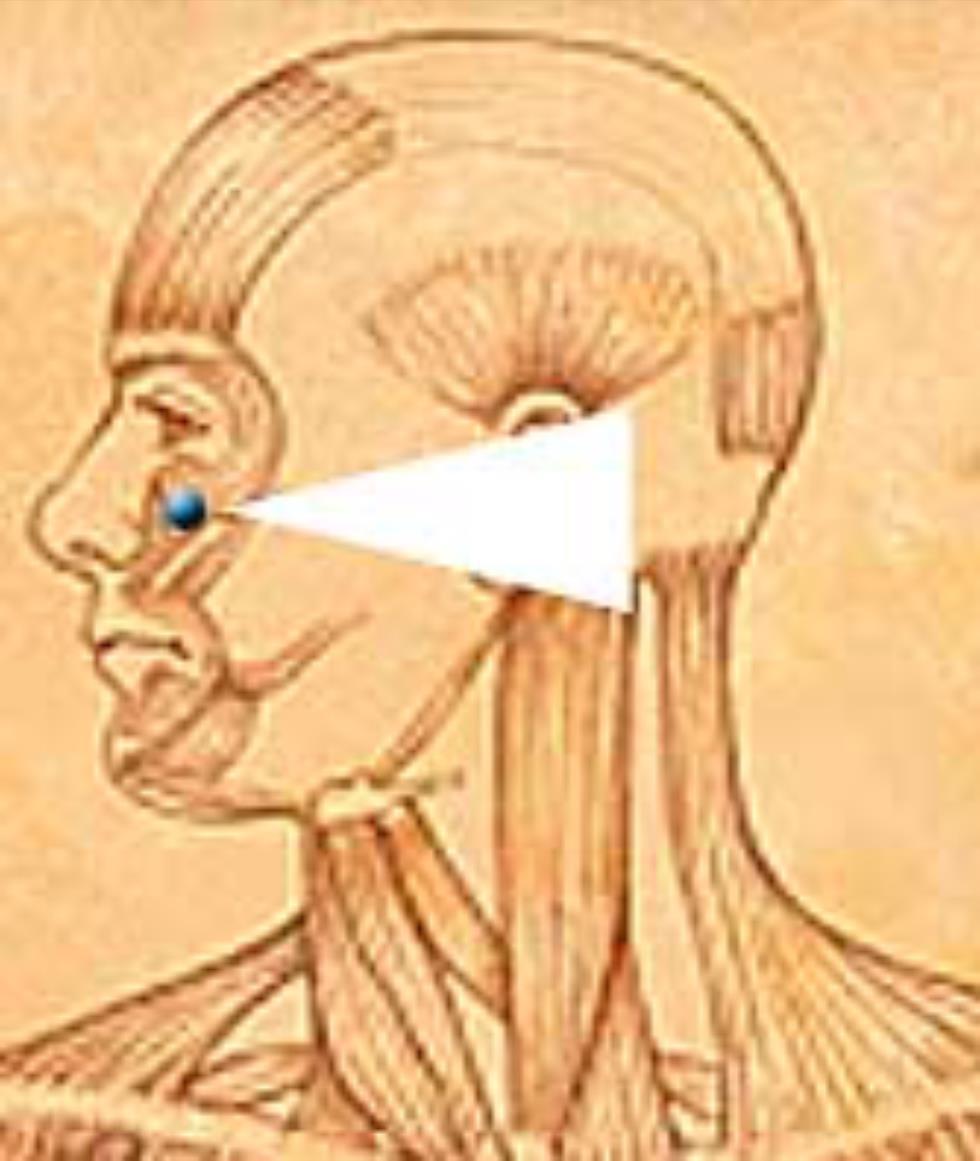 Tapping Points: Under Eye Point Stomach Meridian (ST-2) Location: Directly below the pupil of the eye (focused forward), in the depression