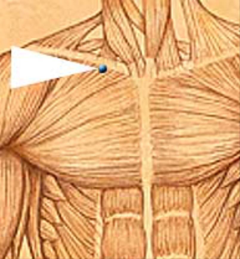 Tapping Points: Collar Bone Point KI27 Shu Fu Kidney 27 Shu Mansion Kidney Meridian (K-27) Location: Follow clavicle to protrusion