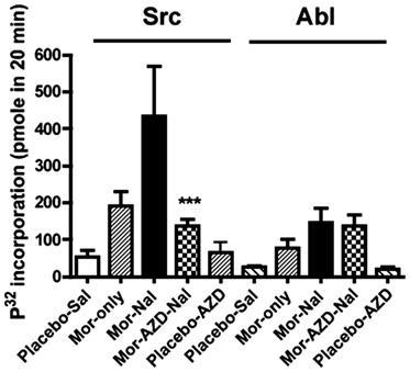 EMBO Molecular Medicine MOR phosphorylation and opiate withdrawal Lei Zhang et al A B Figure 3. Selective inhibition of Src but not Abl activity in mice i.c.v. injected with AZD0530.