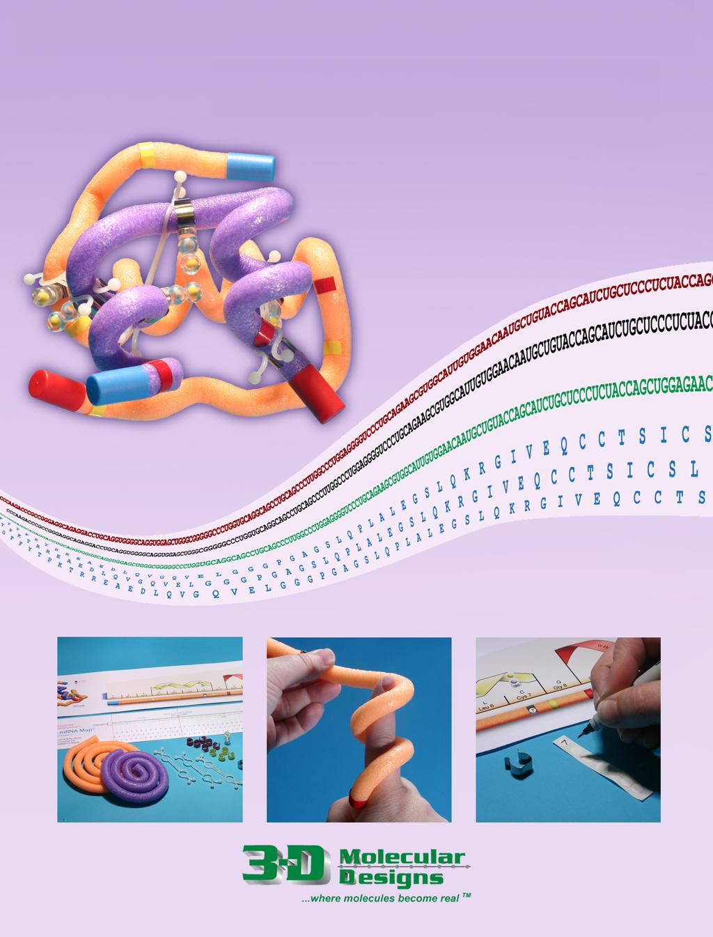 Insulin mrna to Protein Kit A 3DMD Paper BioInformatics and