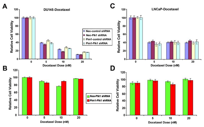 Figure. 4. Effects of PLK1 knock-down on docetaxel response in DU145 (A, B) and LNCaP (C, D) cells.