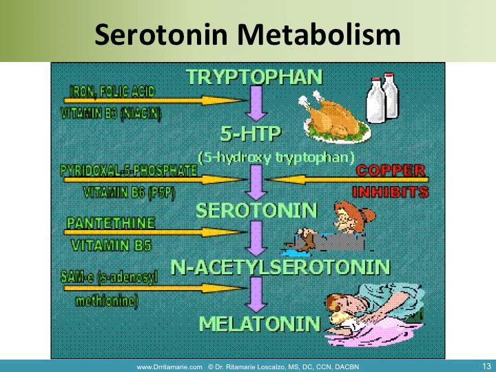 (aka epinephrine) Dopamine Metabolism B3, B6, Folate, Vitamin C, Copper Vitamin B12 Phenylalanine Tyrosine B12, Folate, Iron Iodine Thyroid Hormones Thyroxine (T4) Selenium, Manganese,