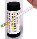 DRUG URINALYSIS Detection of drugs through urine test Detectable drugs