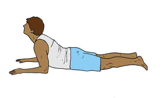 EXTENSION RANGE OF MOTION AND FLEXIBILITY EXERCISES: STRETCH Extension, Prone on Elbows Lie on your stomach on the floor. (A bed will be too soft.) Place your palms about shoulder width apart.