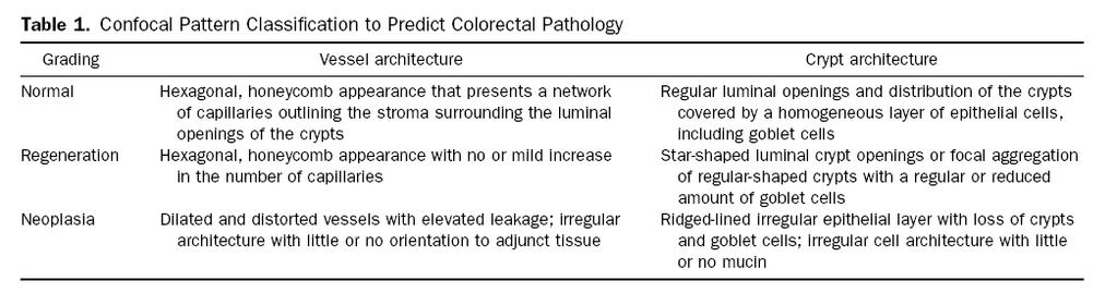 Confocal Classification Normal Hyperplasia Neoplasia