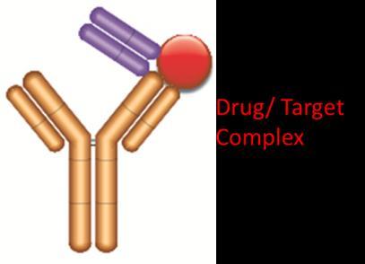 Type 1 Anti-Adalimumab Antibodies The Type 1 anti-adalimumab antibodies inhibit the binding of the drug adalimumab to its target, TNFα, and therefore detect free drug.