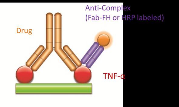 Antibodies Specificity Figure 3 Specificity of antibody HCA232 to drug-target complex Product code: HCA232 Figure 3 demonstrates the specificity of antibodies to the adalimumab/tnf-α complex.