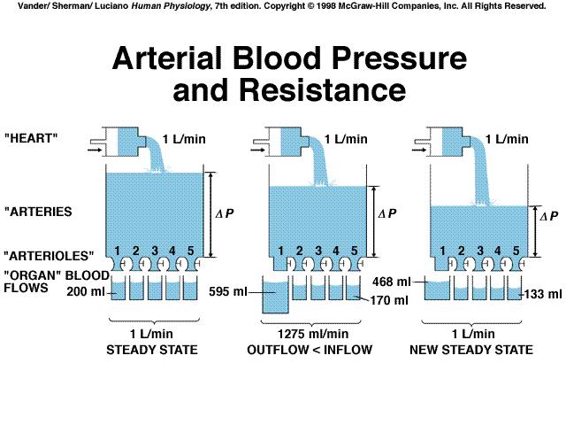 Blood pressure ( the physics ) Blood pressure regulation Arterial and