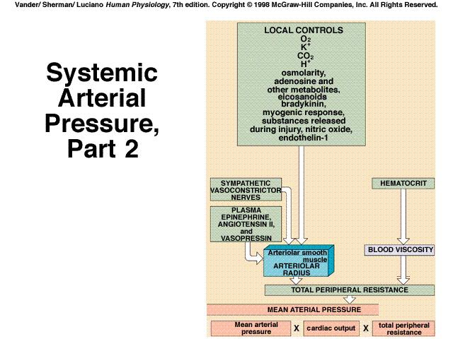 / TPR = Blood pressure ( MAP ) Blood pressure regulation Arterial and venous blood pressures  / TPR