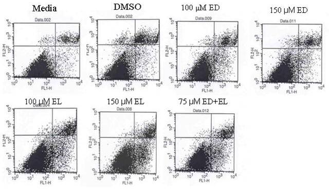 187 Drug Discoveries & Therapeutics. 2010; 4(3):184-189. reduced cell proliferation. As shown in Figure 2B, a combination of 50 μm of ED and 400 μm of ALA showed significant (p < 0.