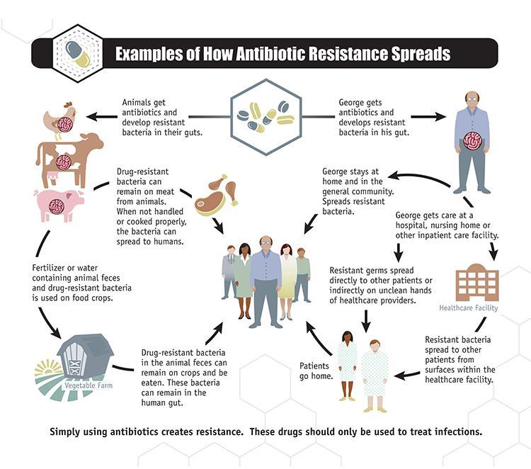 Today, antibiotic-resistant bacteria annually cause at least 2 million illnesses and 23,000 deaths in the United States.