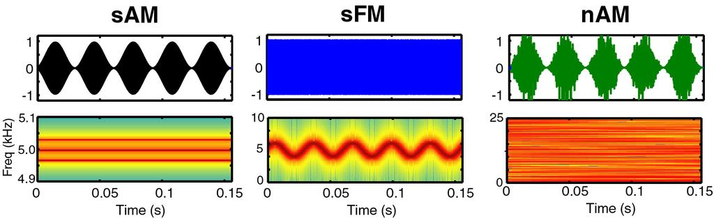 frequency Time (msec) BMF: Best modulation frequency (rbmf: