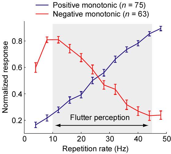 Firing rate-based representations of acoustic flutter All neurons