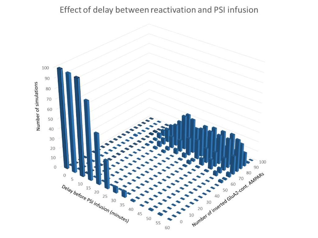 42 Fig 12: Reonsolidation window. Results of simulated reativation followed by PSI infusion. The delay between reativation and PSI infusion is varied from 0 to 60 minutes in 5-minute steps.