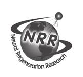 NEURAL REGENERATION RESEARCH April 2015,Volume 10,Issue 4 www.nrronline.
