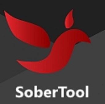 The Sober Tool offers a sobriety counter that shows time sober, creates budgets and tracks money