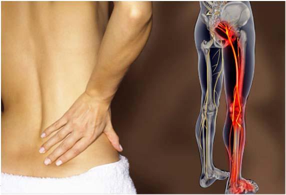 actively recruiting patients 39 Referred Pain Hip pain can be referred from the lumbar
