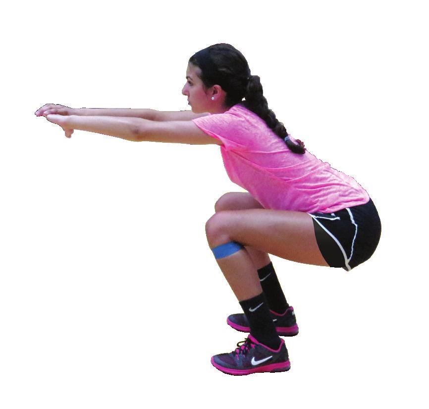 (abdominal, low back, hip region) and flexibility.