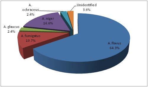 MYCOFLORA ON POULTRY FEED IN IRAN Fig. 2. Frequency of potentially mycotoxigenic fungi on ingredients and finished feed in poultry feed mills in Tehran, Alborz and Qom provinces, Iran. Table 2.