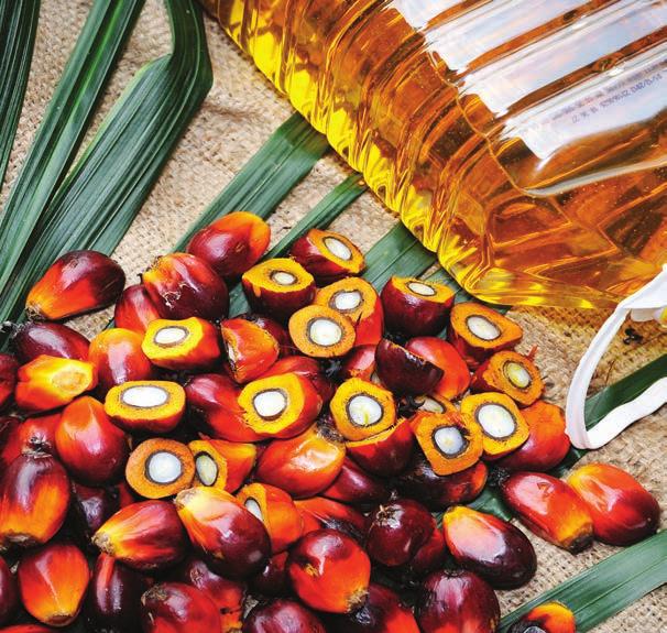 22 inform March 2017, Vol. 28 (3) Commercially available alternatives Nils Hinrichsen to palm oil In the last few decades, palm oil has become one of the most important edible oils globally.