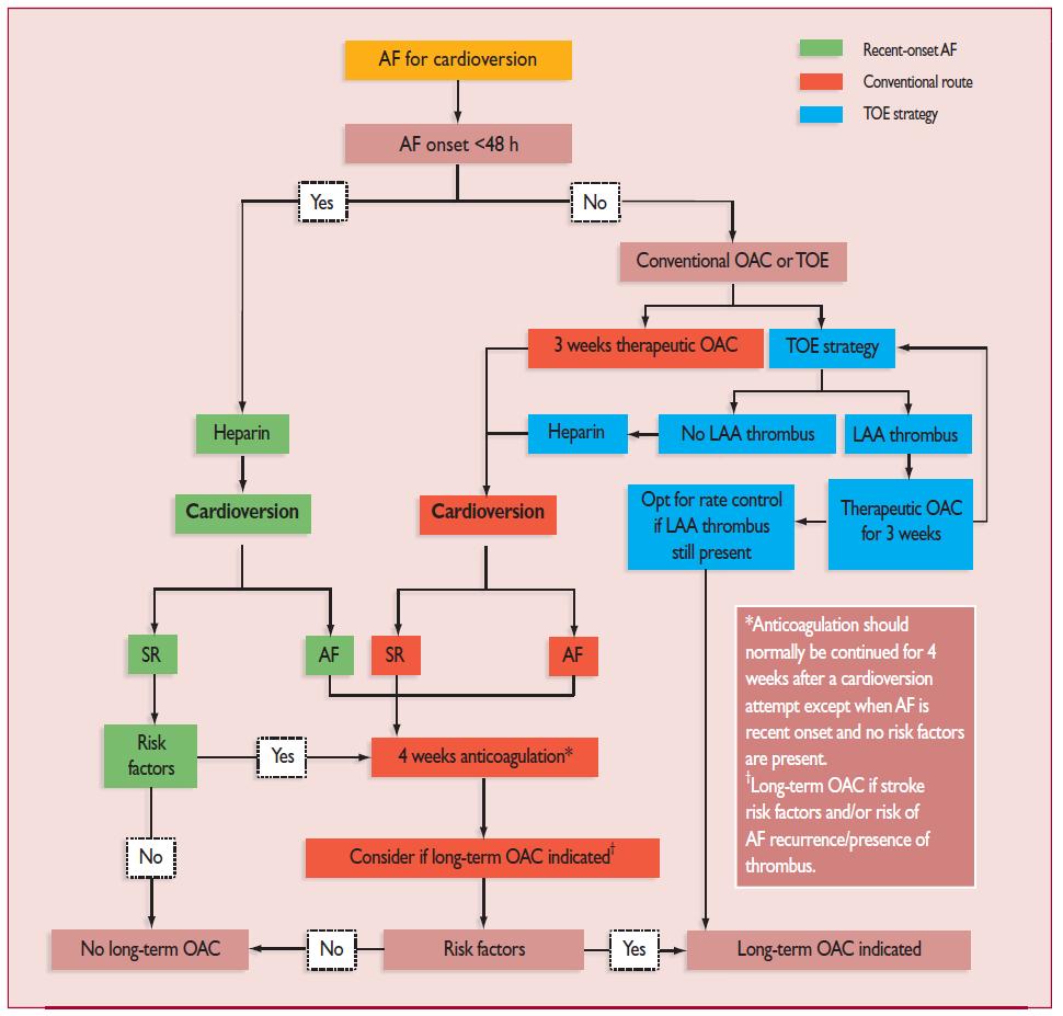 International Guidelines: Anticoagulation Peri-cardioversion According to the current guidelines, subjects with AF (>48 h or unknown period) should receive