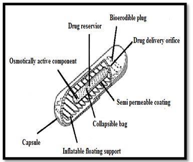 movements of the dosage form and maintain its buoyancy.