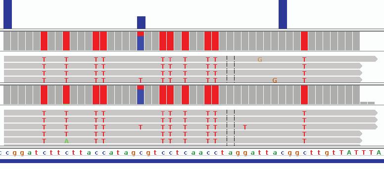 PAGE 10 DIAGENODE EPIGENOMICS PROFILING SERVICES DNA methylation analysis The pattern of DNA methylation and histone modification(s) plays an essential role in maintaining cellular function.