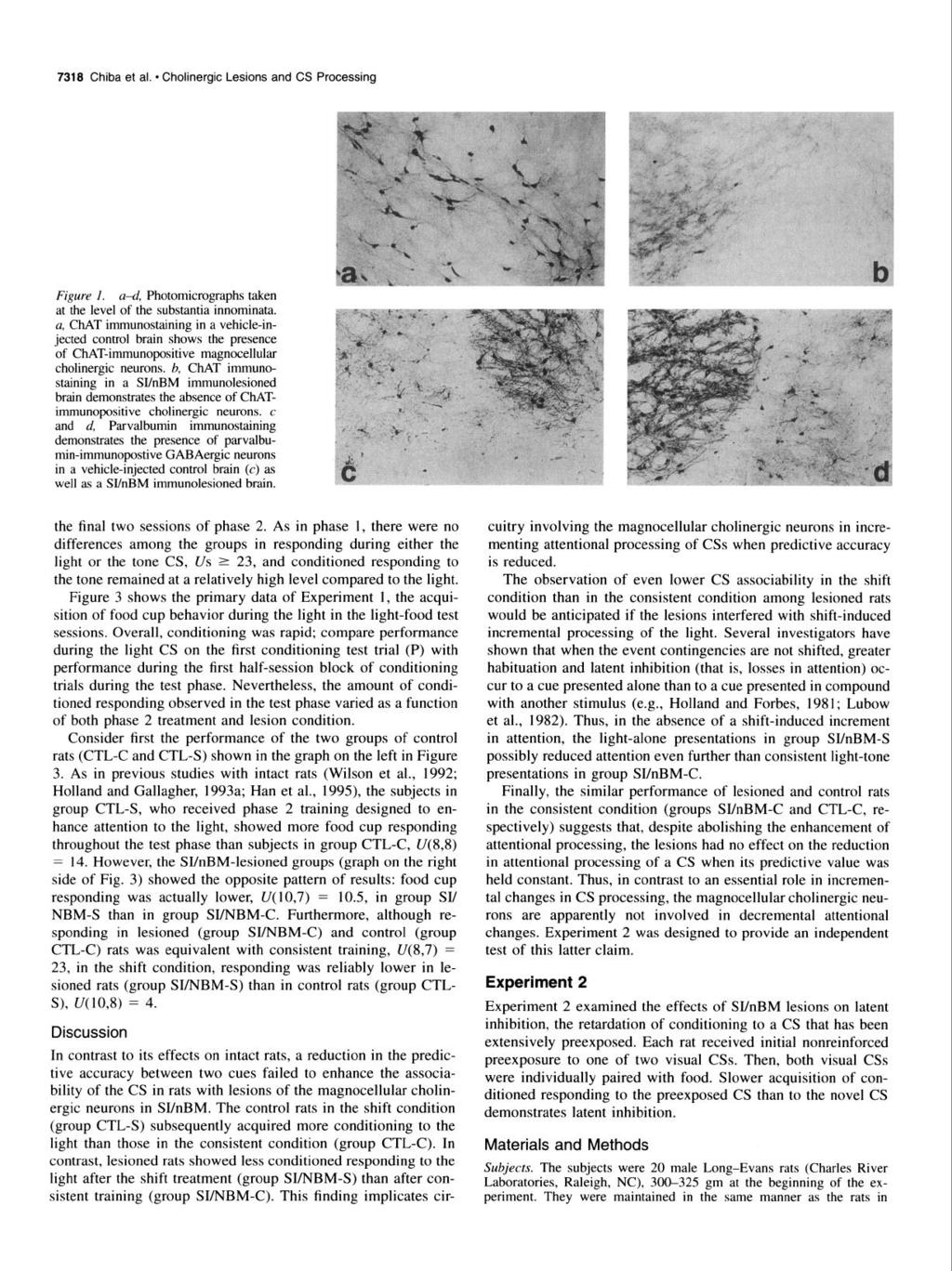 7318 Chiba et al. l Cholinergic Lesions and CS Processing Figure I. a-d, Photomicrographs taken at the level of the substantia~innominata.