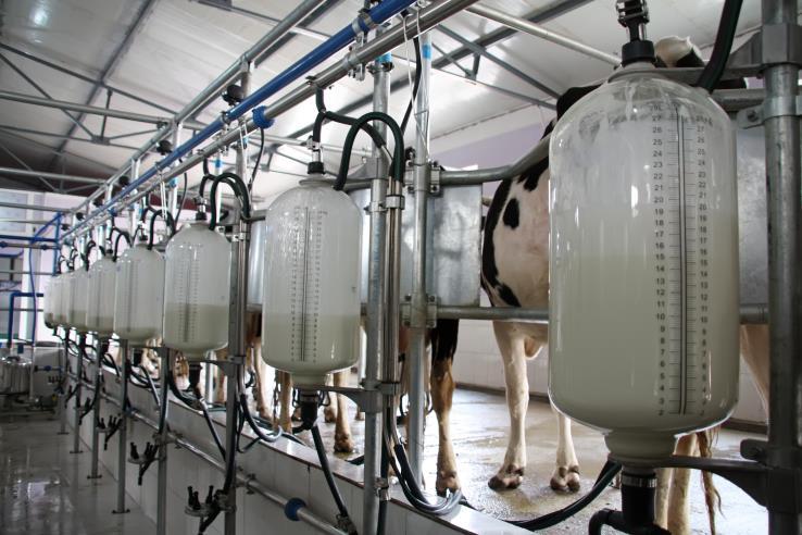 Lactation requirement Milk Yield 0.