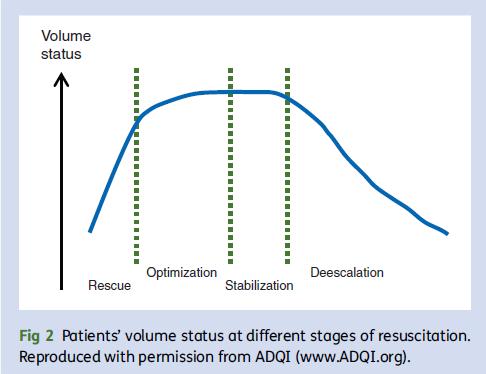 Four Phases Fluid in the bolus Treatment of Shock Salvage Optimization Stabilization De-escalation Aggressive restoration of blood pressures Life saving measures Treat underlying causes