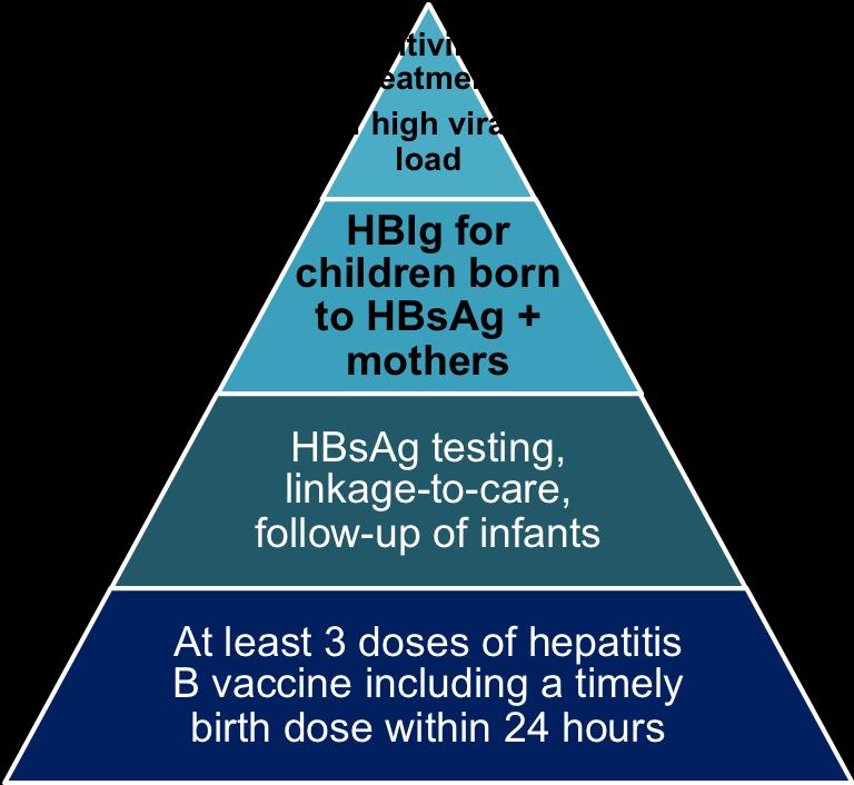 Incremental approach to prevention of HBV infection at birth and in the first years of life The interventions at the base of the pyramid benefit to the largest number and are necessary for those at