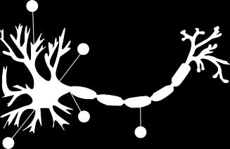 Station 1 6.5 Neurons and synapses Label the neuron below: What is that neuron part? 1. Picks up message from neighboring neurons 2.