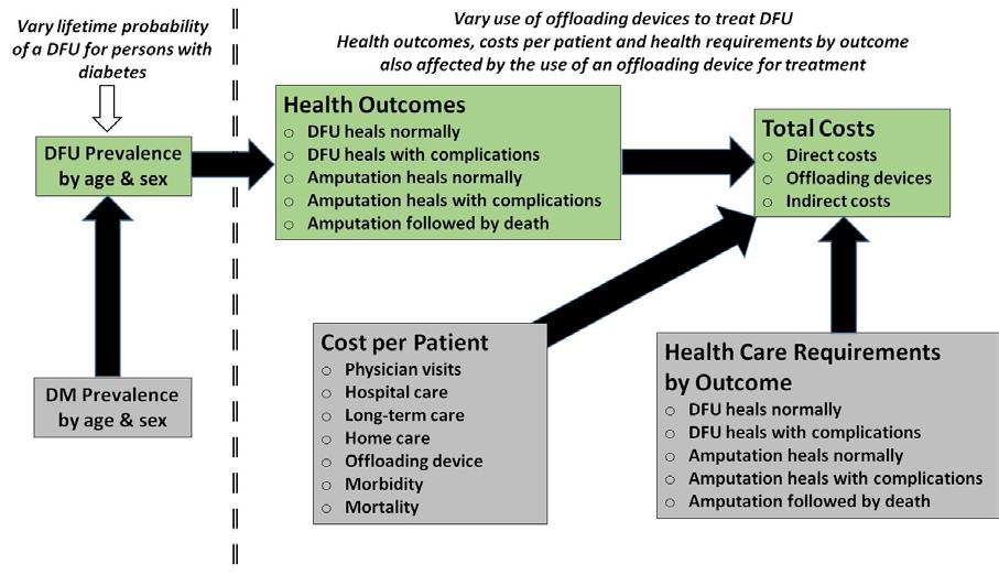 Model Assumptions A model was constructed to estimate the number of persons with DFU in Prince Edward Island in 2018 and their health outcomes based on whether or not they used an offloading device.