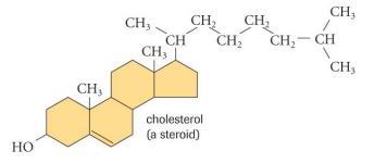4) Steroids Steroid - is a lipid that is composed of four carbon rings.