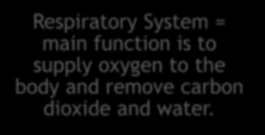 Respiratory System Respiratory System = main function is