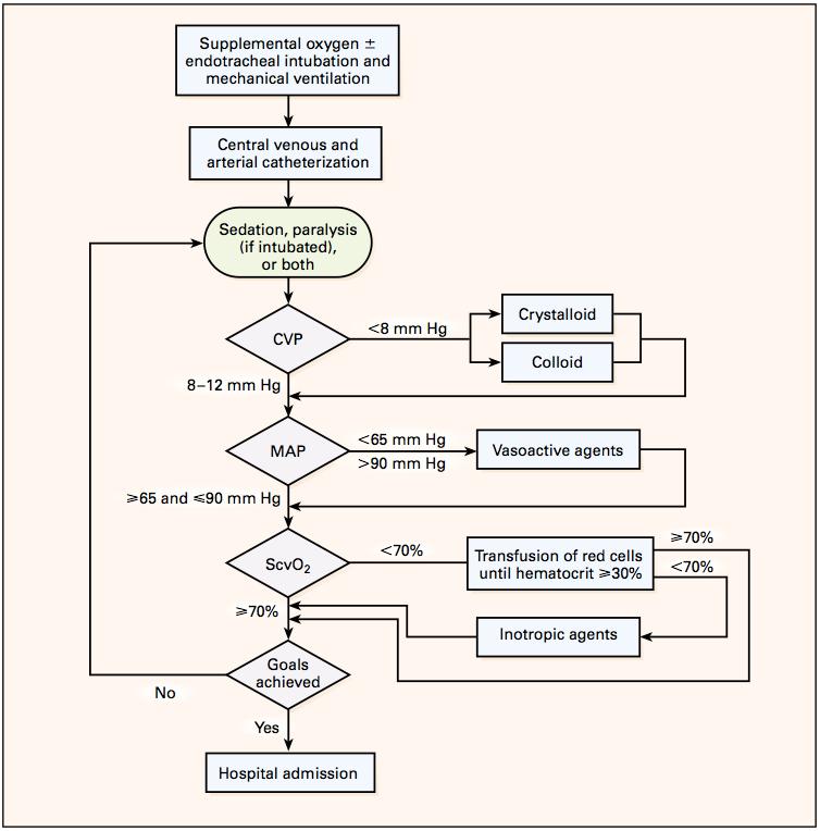 2012 Recommendation for Initial Resuscitation We