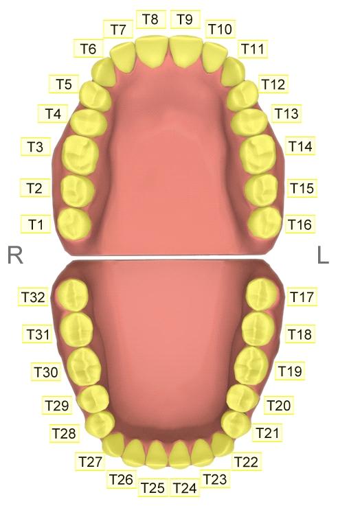 T 02 / 7+ T 03 / 6+ T 04 / 5+ T 05 / 4+ T 06 / 3+ 67.69-33.72-13.09 60.17-42.73 After Products T 01 / 8+ Before Products TEETH 1.66 T 07 / 2+ 44.18 T 08 / 1+ -47.43 T 09 / +1 17.32 T 10 / +2 57.