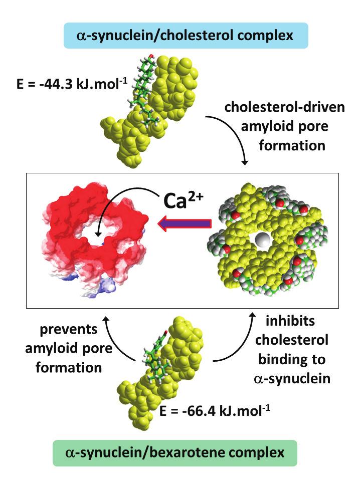8 Fig. S8: Bexarotene prevents the formation of amyloid pores through competitive inhibition of cholesterol binding.
