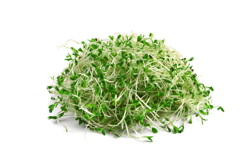 Uses in Industries Cont. Medicinal There are many amazing medicinal benefits to using alfalfa.