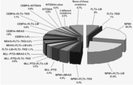 I. Genetic Heterogeneity of AML Complex aberrant - 15% Normal karyotype - 45% Unbalanced karyotypes - 15% Balance d Balanced translocations - 25% FLT3-ITD FLT3-TKD MLL-PTD RAS NPM1 TET2,.