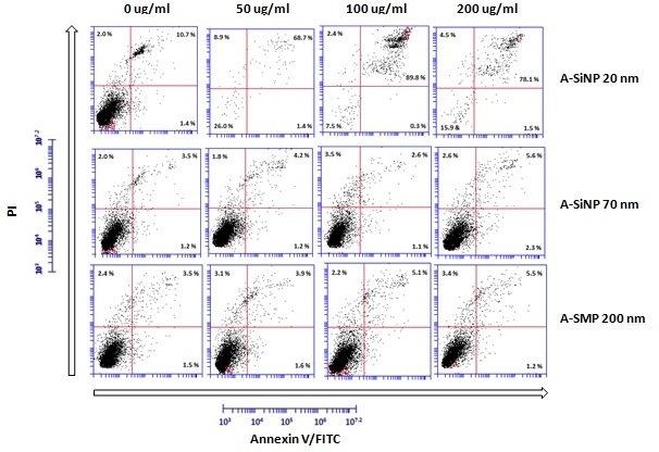 Apoptosis assay on A375 cells With FBS Presence of FBS: dose-dependent effect for A-SiNP 20 nm; A-SiNP 70 and A- SMP 200 show little