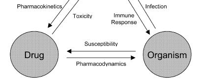 Principles of antimicrobial use to achieve better patient outcomes How pharmacists have contributed and
