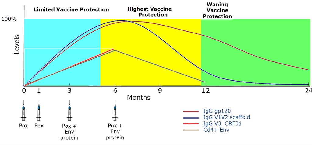 Kinetics of Vaccine-Induced Immune Response and Vaccine