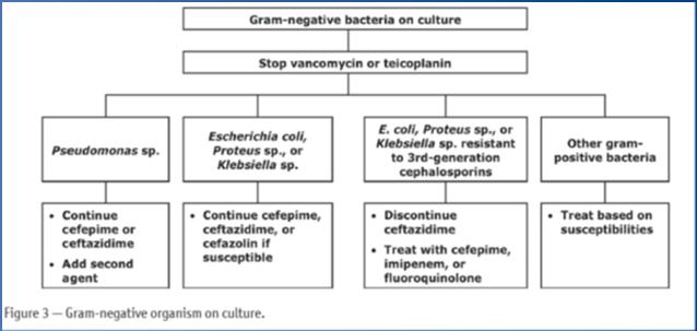 Consensus Guidelines for the Prevention and Treatment of Catheter-Related Infections and Peritonitis in Pediatric Patients