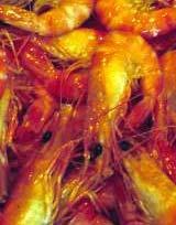 fish oil added Greater use in shrimp diets restricted by: High