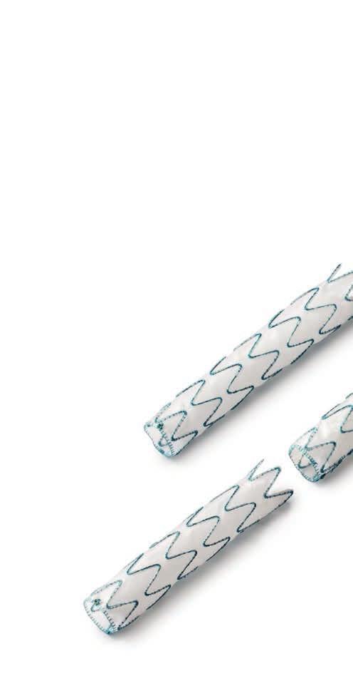 Pure performance and quality: Stent graft systems by JOTEC JOTEC is an innovation-oriented company with consistent focus on its core competencies: the development and manufacture of high-quality