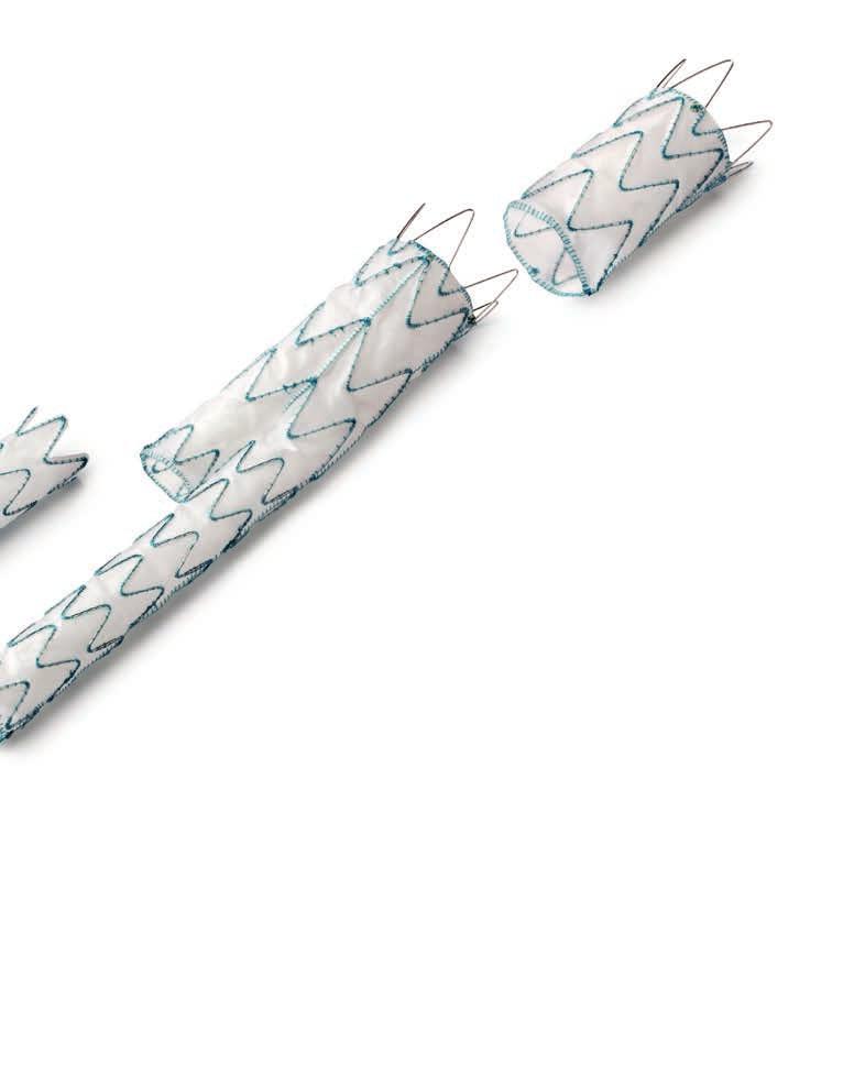 ABDOMINAL XT Proven stent graft design for individual treatment Secure fixation and adaptation The number of spring tips is adapt - ed to the stent graft diameter; the spring rows overlap.
