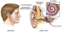 Hearing Aids There are three main types of hearing aids: 1. Conventional 2. Programmable 3.