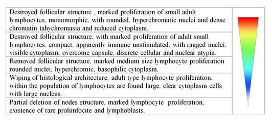 nuclear irregularity index with maximum value of 4.07 and mean 3.96 ± 0.02 emphasizing regular appearance of nuclei.